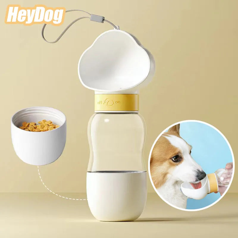 Water Bottle