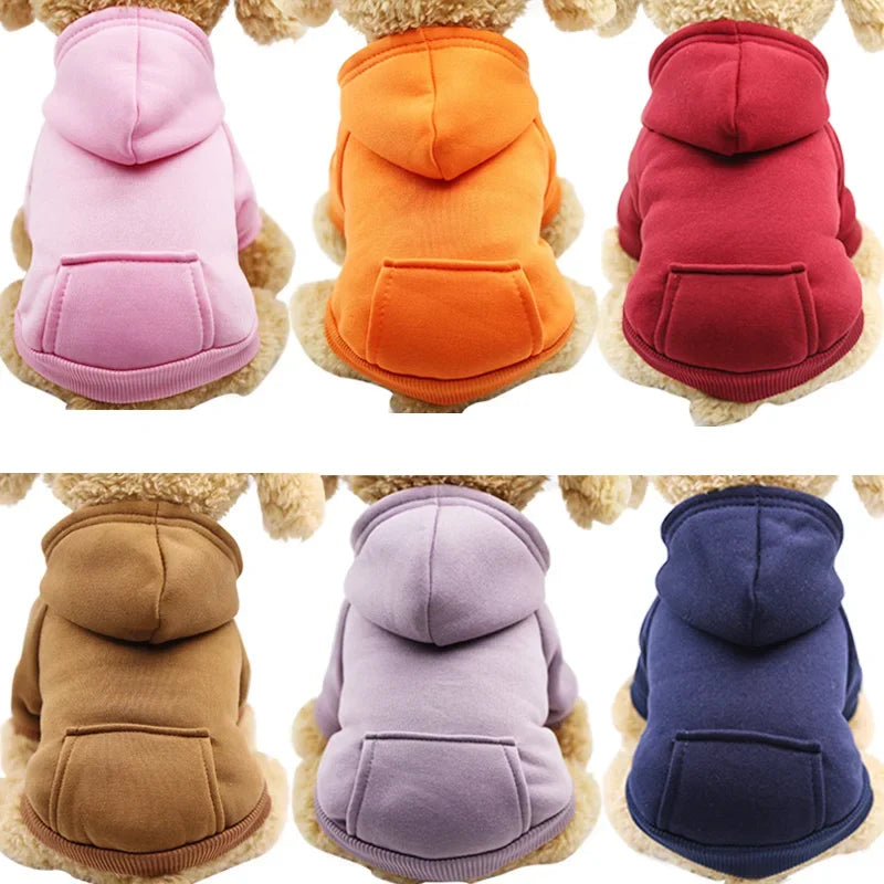 Dog Clothes